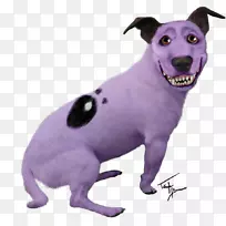 狗繁殖电视节目狗-空若网 狗繁殖电视节目狗-空若网