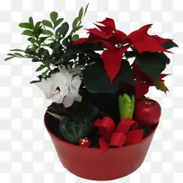 花卉设计切花花盆花束-空若网 花卉设计切花花盆花束-空若网