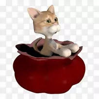 ÈÃè´Ó´ü×ÓÀï³öÀ´£¬ºúÐ룬С裬¼ÒÑøÖí-Éú¶¯µÄè±Ç×Ó-¿ÕÈôÍø ÈÃè´Ó´ü×ÓÀï³öÀ´£¬ºúÐ룬С裬¼ÒÑøÖí-Éú¶¯µÄè±Ç×Ó-¿ÕÈôÍø