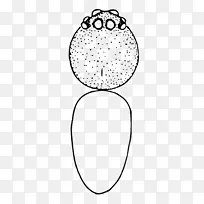 鼻子喙圆白色剪贴画.鼻子-空若网 鼻子喙圆白色剪贴画.鼻子-空若网