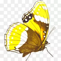 ��������Ƥ���Ƽ�����-��������-������