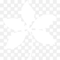 联合国大学计算机与社会学会电子邮件公司数据集团-叶大纲-空若网 联合国大学计算机与社会学会电子邮件公司数据集团-叶大纲-空若网