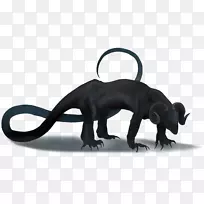 猫狗,犬科动物,陆生动物-猫-空若网 猫狗,犬科动物,陆生动物-猫-空若网