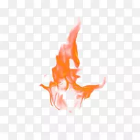 ���������.��ɫ����-������