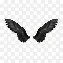 剪贴画-黑色翅膀-空若网 剪贴画-黑色翅膀-空若网