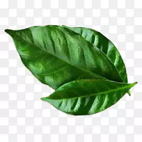 ¿§·Èºæ±ºÂÞ¿¨·Ç¿§·ÈºøÄ«Î÷¸çÁÏÀí-¿§·È-¿ÕÈôÍø ¿§·Èºæ±ºÂÞ¿¨·Ç¿§·ÈºøÄ«Î÷¸çÁÏÀí-¿§·È-¿ÕÈôÍø