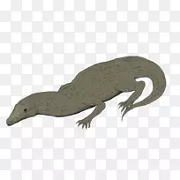 ����½�����������-������