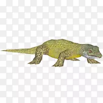 壁虎陆生动物-动物-空若网 壁虎陆生动物-动物-空若网