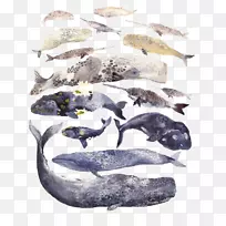 �Ӿ�����ˮ�ʻ����㻭-������