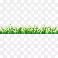 草坪绿色壁纸-草-空若网 草坪绿色壁纸-草-空若网