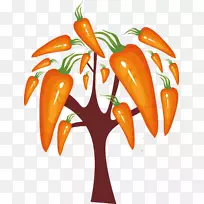 萝卜菜-胡萝卜-空若网 萝卜菜-胡萝卜-空若网