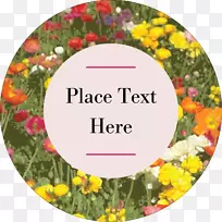 花卉设计婚礼野花餐具.野花标题盒-空若网 花卉设计婚礼野花餐具.野花标题盒-空若网