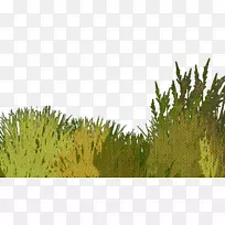 Â̲Ý-¿ÕÈôÍø Â̲Ý-¿ÕÈôÍø