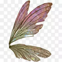 翅膀羽毛贴剪贴画-蝴蝶漂浮-空若网 翅膀羽毛贴剪贴画-蝴蝶漂浮-空若网