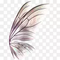 üë�Ϻ���Ʈ��-������