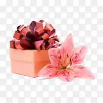 ��Ʒ���������-������Ʒ��-������