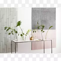 ������ƿ-������