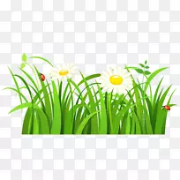 免费内容博客剪贴画-草剪贴画-空若网 免费内容博客剪贴画-草剪贴画-空若网