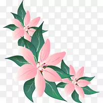 花卉设计摄影版税-免费花-空若网 花卉设计摄影版税-免费花-空若网