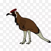 ���춯��Ұ�����Ｆ�������-������