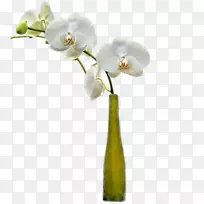 花瓶切花花束花瓶-空若网 花瓶切花花束花瓶-空若网