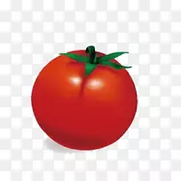 李子番茄糖醋番茄苹果番茄-空若网 李子番茄糖醋番茄苹果番茄-空若网