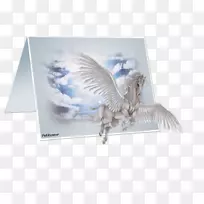 摄影周四快乐-人-空若网 摄影周四快乐-人-空若网