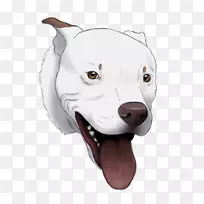 犬种运动团体鼻子犬-空若网 犬种运动团体鼻子犬-空若网