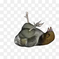 ѱ¹¹�Ǳ���Ұ������ѱ¹-������