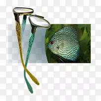 ��¡���߽̳��ֶ���-������