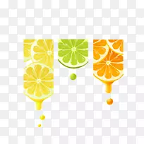 ����������ϳ�֭����֭��֭�Ķ�̬�ɽ�-������