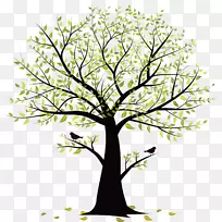 ��֦��-С����-������