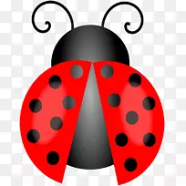 ������-ư��-������