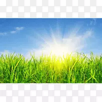 摄影版税-免费-空若网 摄影版税-免费-空若网