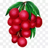 ��֦ˮ��ʳƷ-������