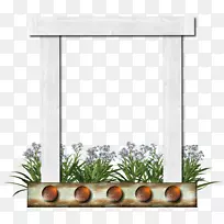 摄影相框-空若网 摄影相框-空若网