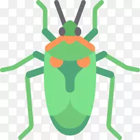 昆虫电脑图标封装后记剪贴画昆虫-空若网 昆虫电脑图标封装后记剪贴画昆虫-空若网