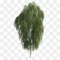 复制电脑图标博客-一棵松树-空若网 复制电脑图标博客-一棵松树-空若网