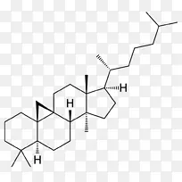 环丁香酚-Hopane化合物科学分子-胆固醇-空若网 环丁香酚-Hopane化合物科学分子-胆固醇-空若网