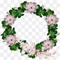 �滭���򲩿�-������