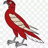 ��ӥ����������-������