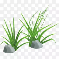 剪贴画.绿草材料-空若网 剪贴画.绿草材料-空若网