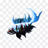 锦鲤观赏鱼-空若网 锦鲤观赏鱼-空若网