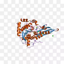 商标桌面壁纸电脑字体电脑-空若网 商标桌面壁纸电脑字体电脑-空若网