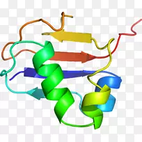 ƽ����Ƶ���������-������