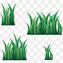 三维计算机图形学.亮草-空若网 三维计算机图形学.亮草-空若网