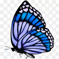 µÛÍõºûµû¼ÐÒÕÊõÊÖÌ×¼ôÌù»-¿ÕÈôÍø µÛÍõºûµû¼ÐÒÕÊõÊÖÌ×¼ôÌù»-¿ÕÈôÍø