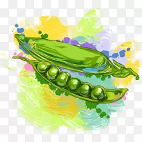 �����㶹��ͼ.�㶹-������