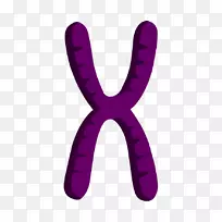 ��POP��ѧ����������¡-��ѧ-������