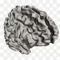 �����Ӧ����ѧ�����������Ϣ���ݽӿڲ��м���ֲ�ʽ�洢��-������